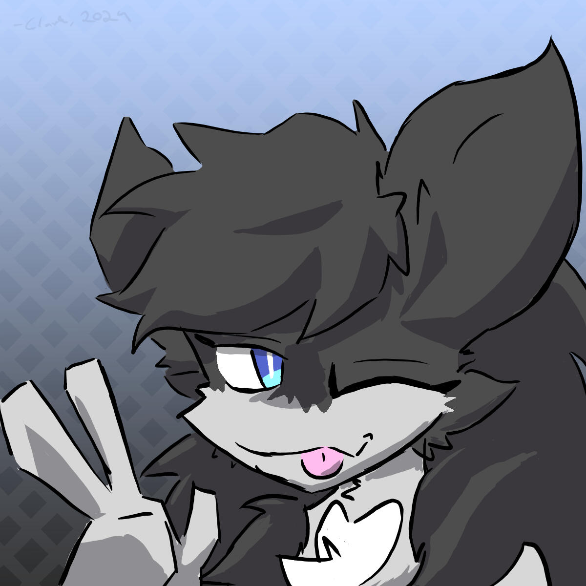 Made by Sky_the_gamer!